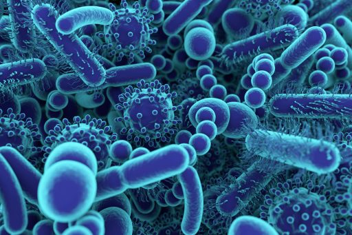 Mikrobiom: kako deluje in skrb za zdravo črevesje